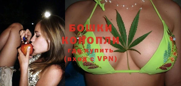 ECSTASY Новозыбков