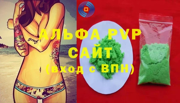 ECSTASY Новозыбков
