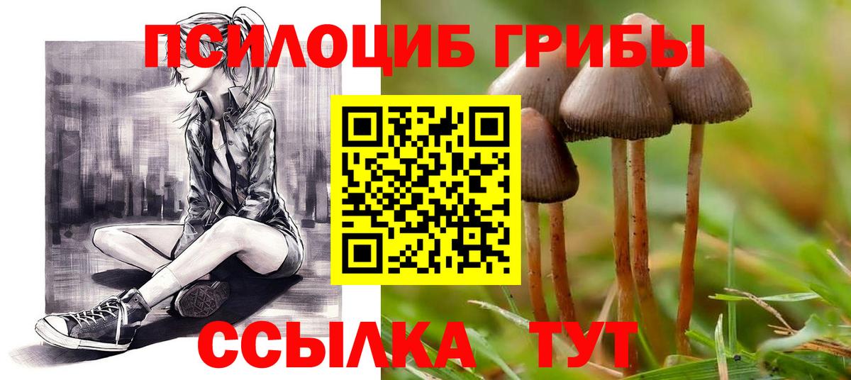 Краснотурьинск  Галлюциногенные грибы Magic Shrooms  Псилоцибиновые грибы Magic Shrooms  Вход с VPN 